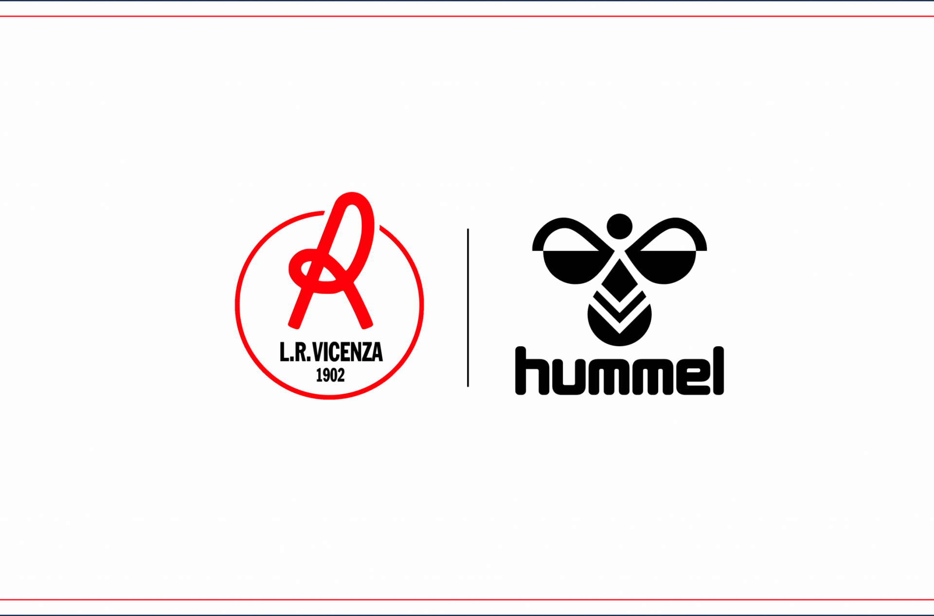 Banner Hummel